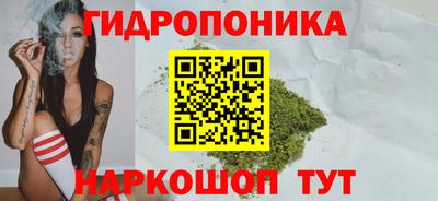 мяу мяу мука Новокубанск