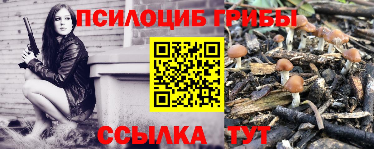Псилоцибиновые грибы Psilocybine cubensis Сухой Лог