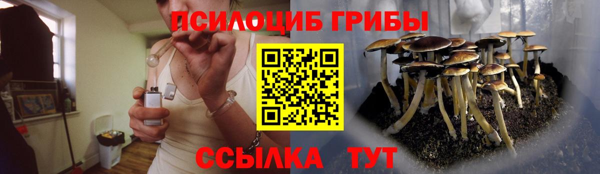 Галлюциногенные грибы Magic Shrooms  купить наркоту  Сухой Лог  Вход с VPN 